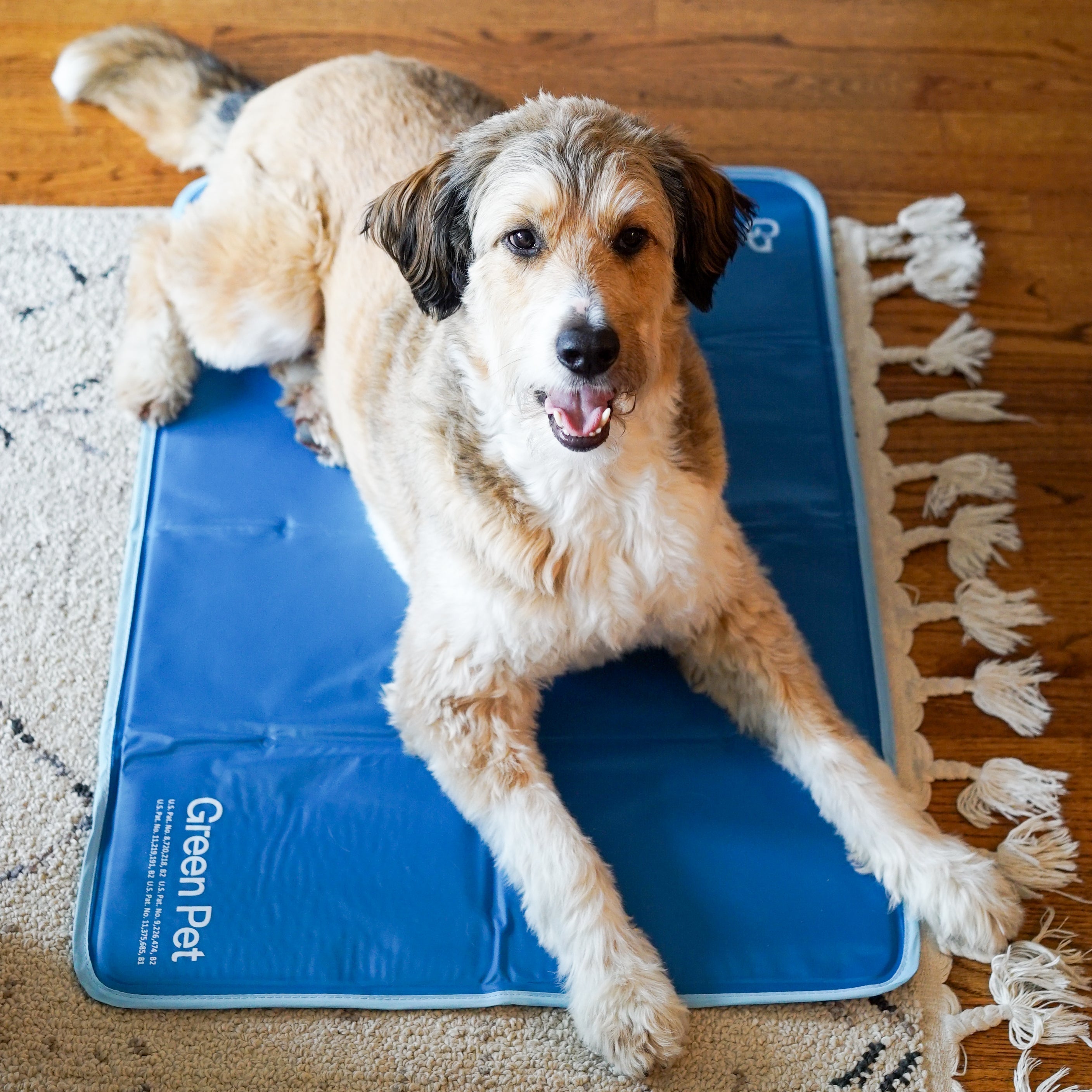 Cool Pet Pad