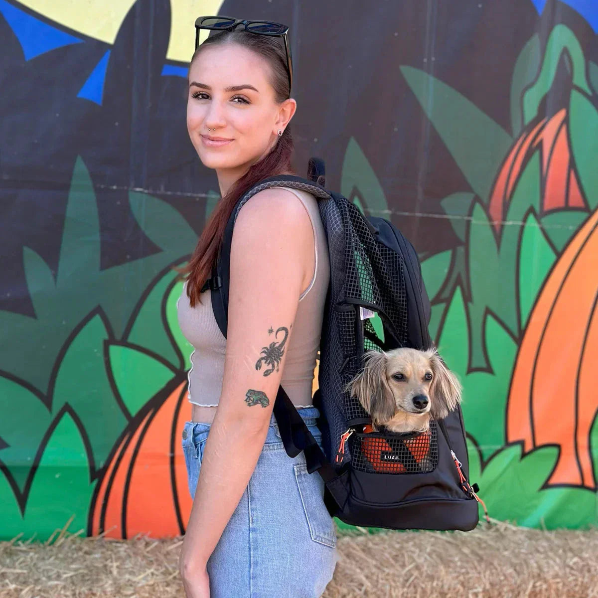 DJANGO - DjangoPack™ Dog Carrier Backpack
