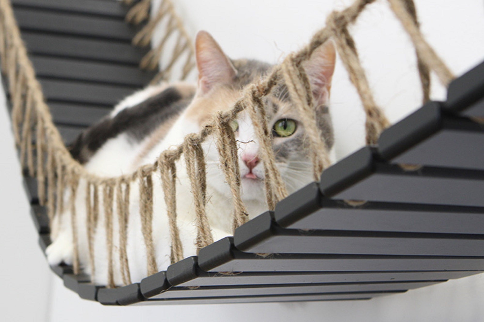 Catastrophic Creations Cat Bridge for Wall