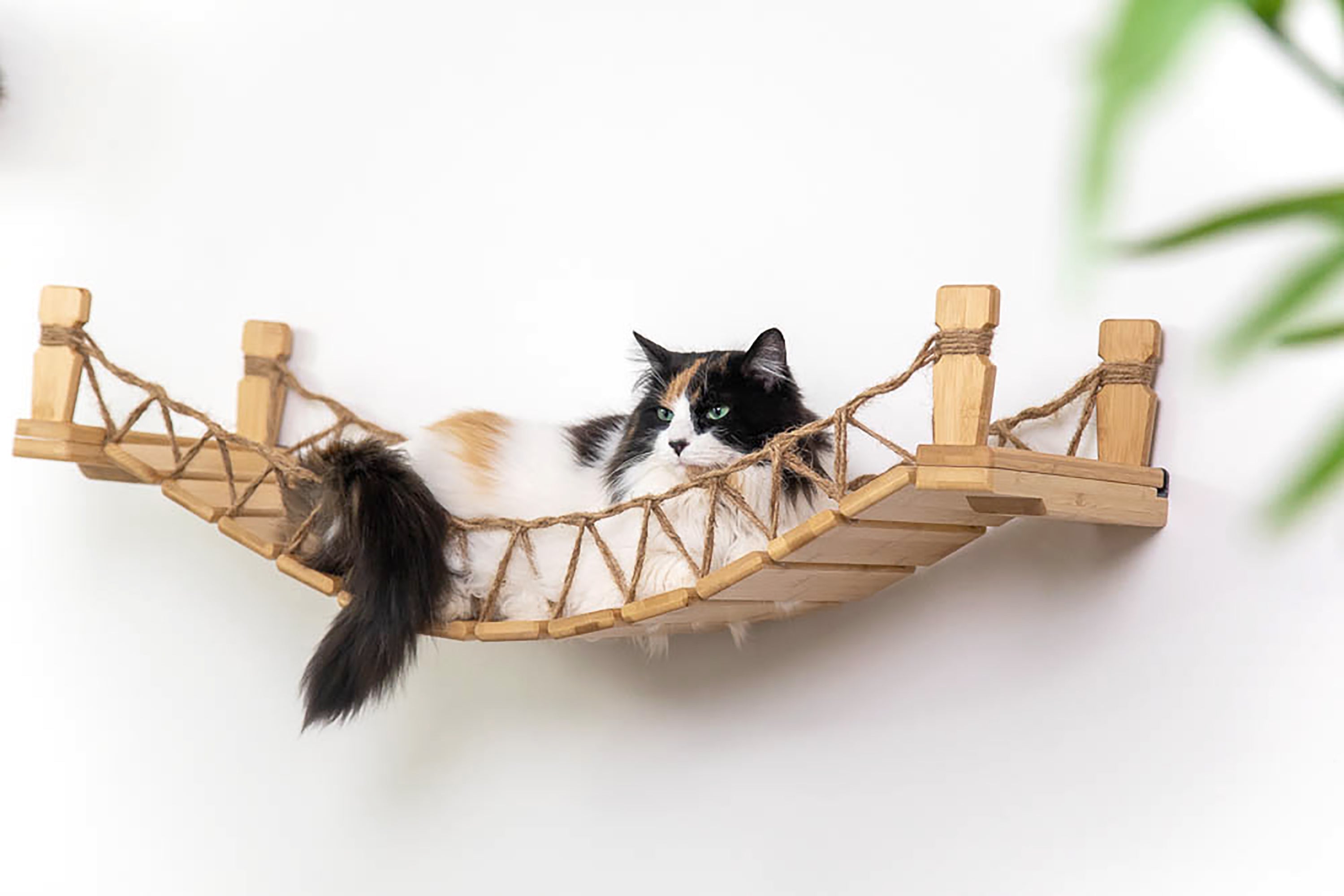 Catastrophic Creations Cat Bridge for Wall