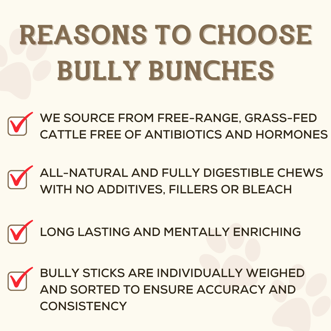 Bully Bunches 6 Inch Standard Braided Bully Stick