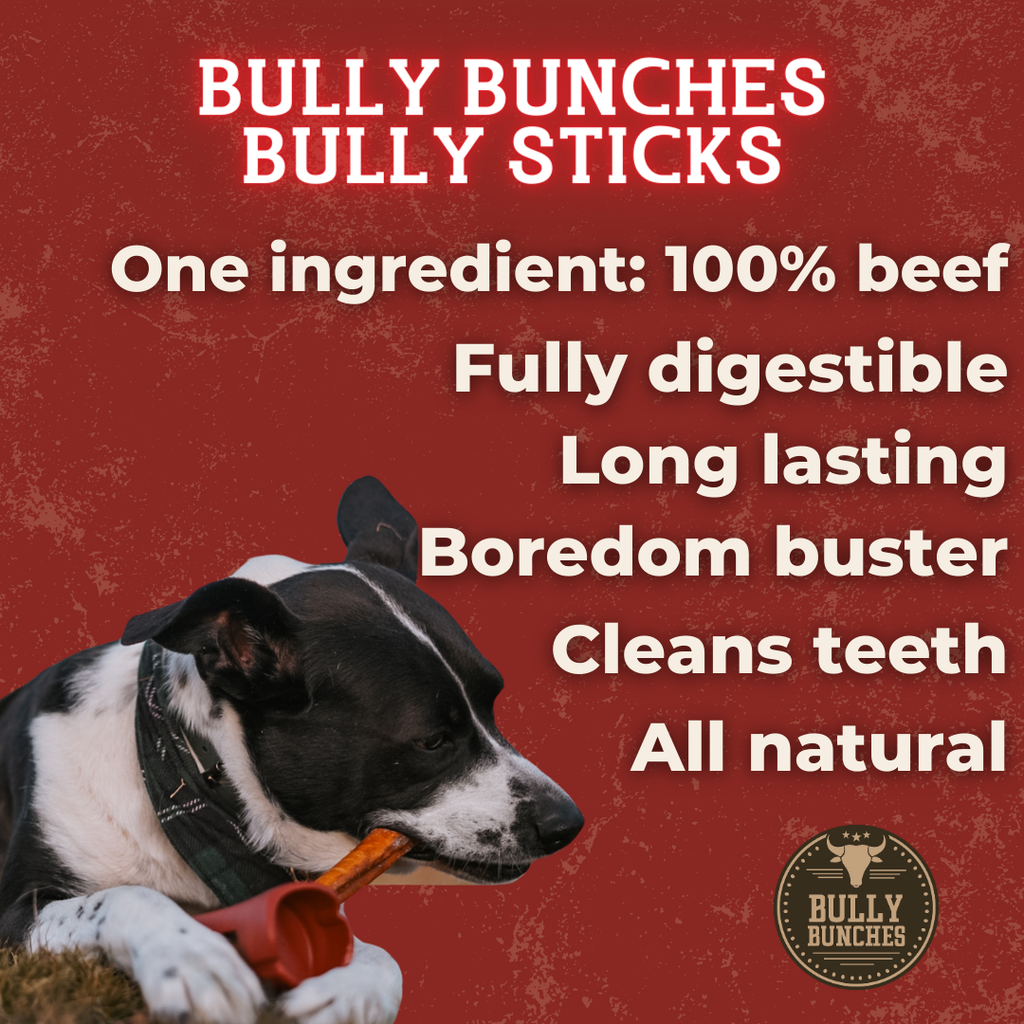 Bully Bunches 6 Inch Standard Braided Bully Stick