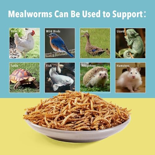 10lb Dried Mealworms for Wild Birds Chickens Feed for Laying Hens,Ducks,Reptiles