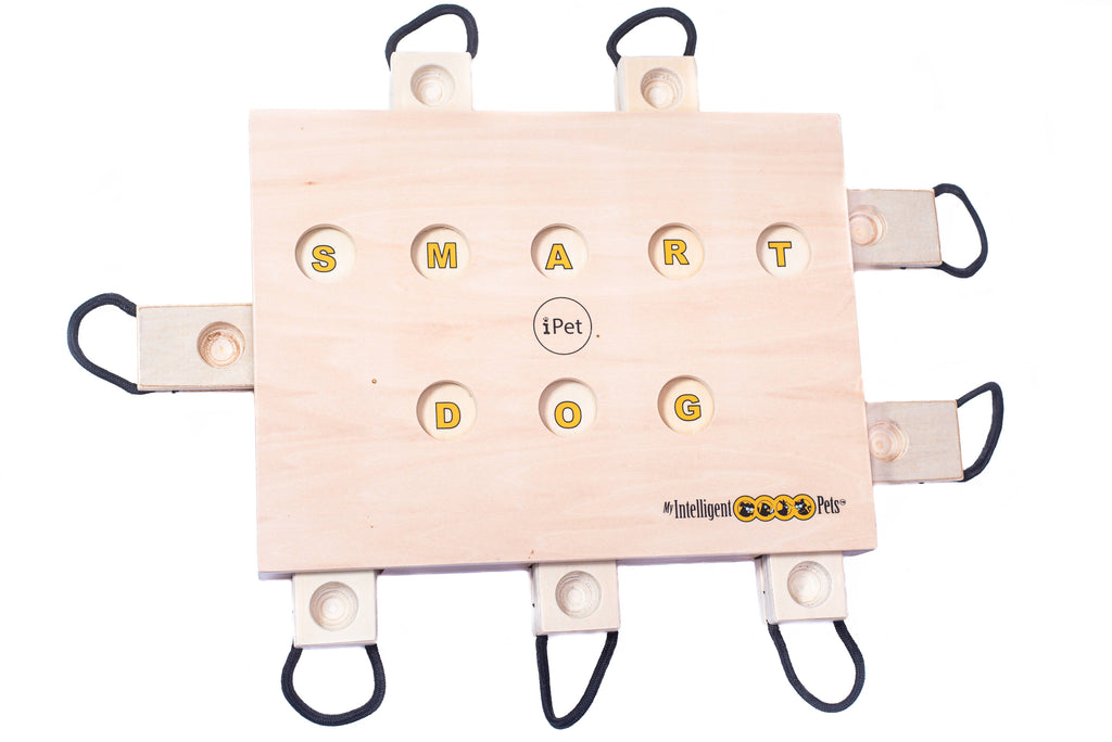 IPet Smart Dog - Challenging Interactive Game for Dogs by My Intelligent Dogs