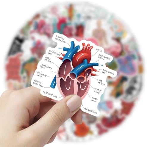 100Pcs Anatomy Stickers,PEGTMVE Human Anatomy Decals, Body Part Stickers, Brain Stickers, Physiology Stickers, for Mobile Phones Computers Refrigerators Bicycles Cars Helmets