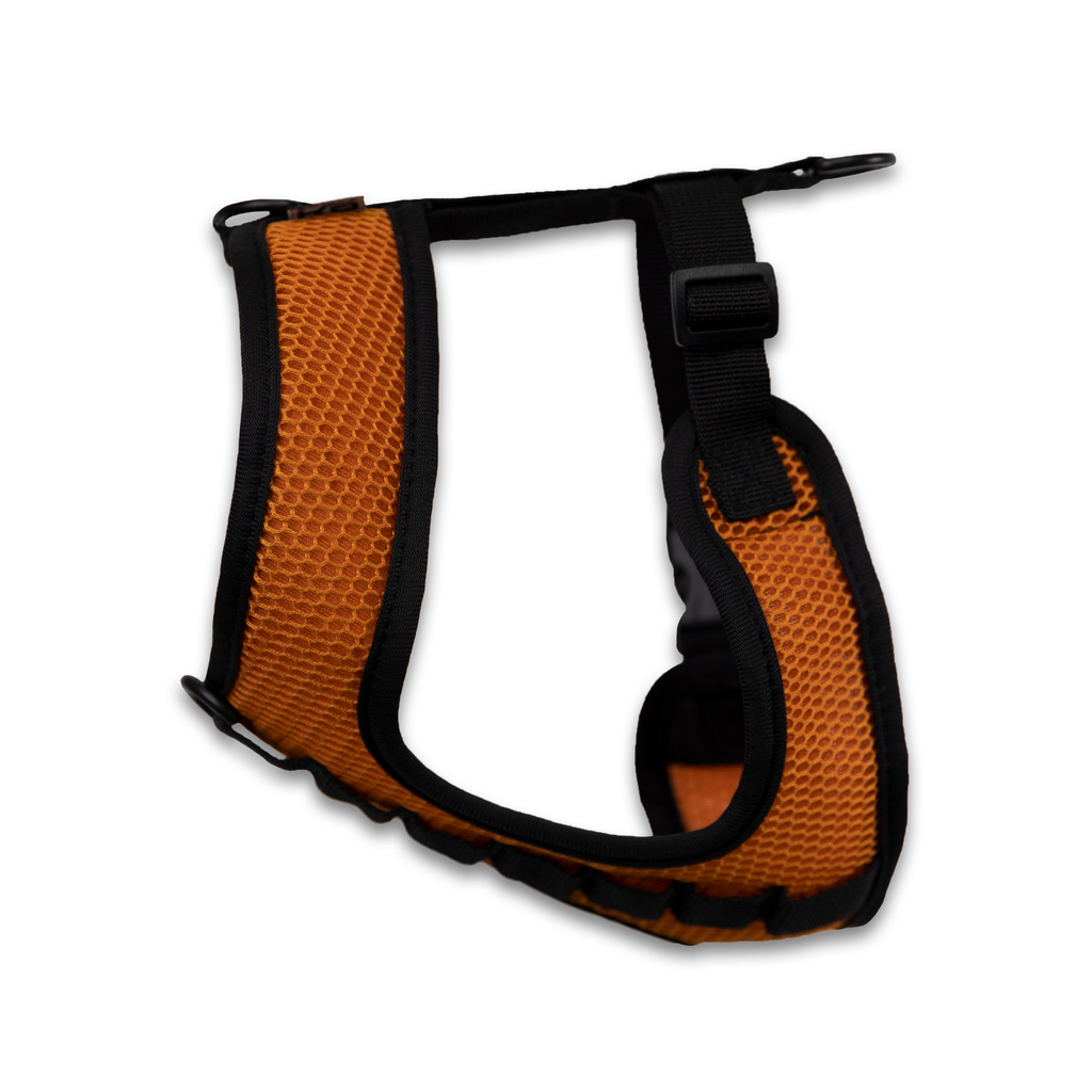 K9 Sport Harness