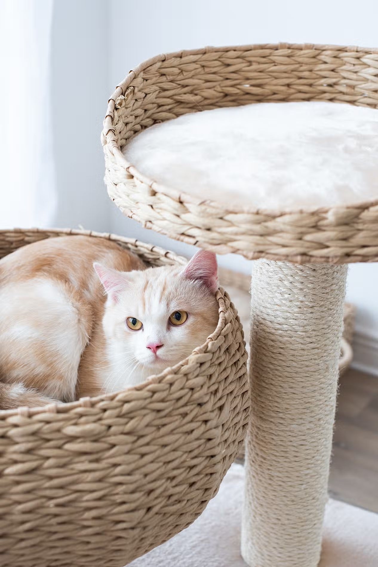 PetPals Cozy Handwoven, Natural Eco-Friendly Medium Cat Tree