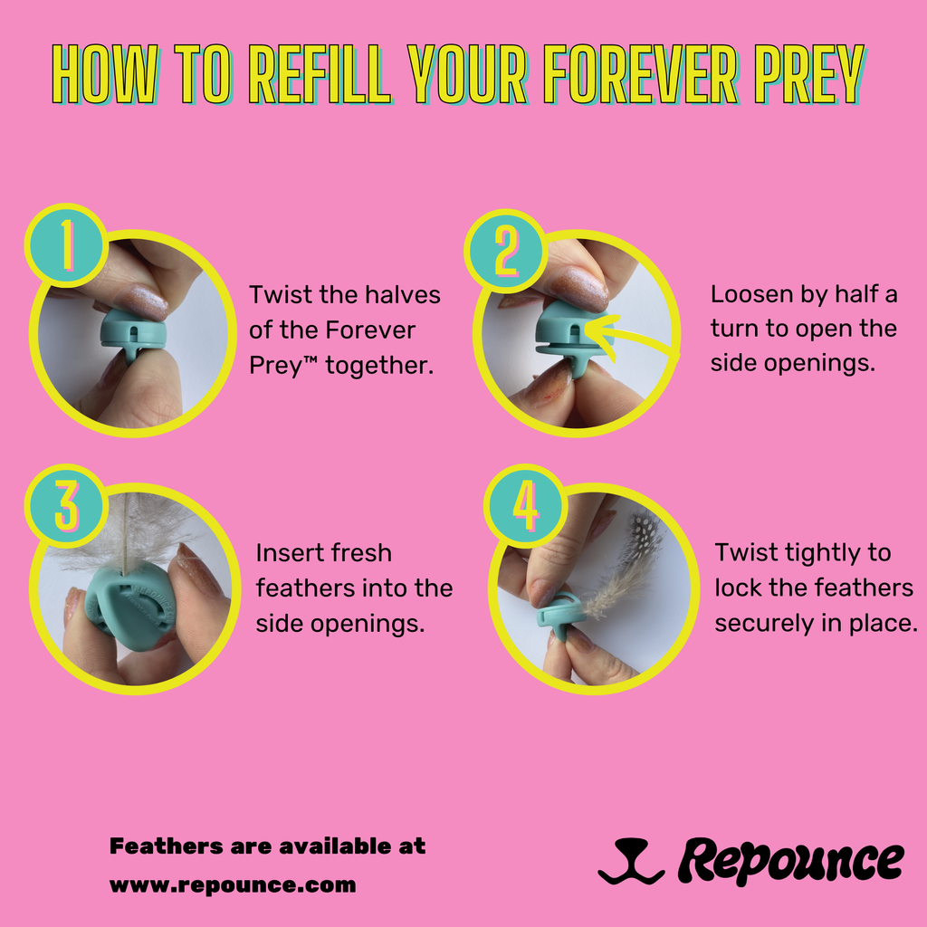 Repounce Forever Prey™ - World's First Refillable Feather Toy
