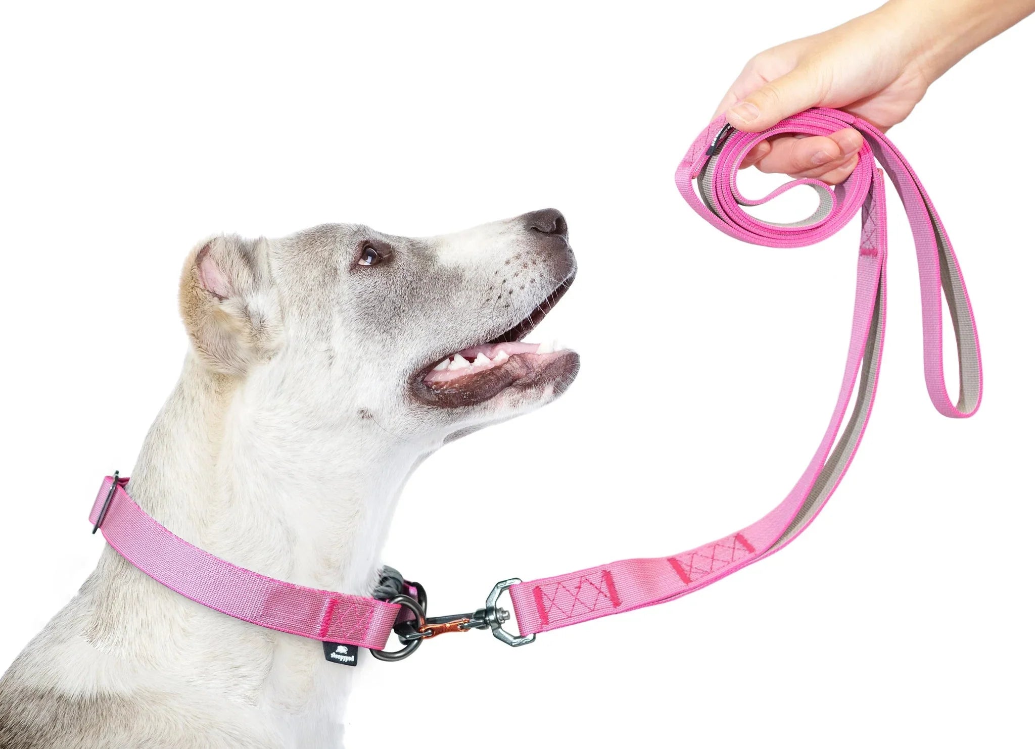 Sleepypod Power Leash