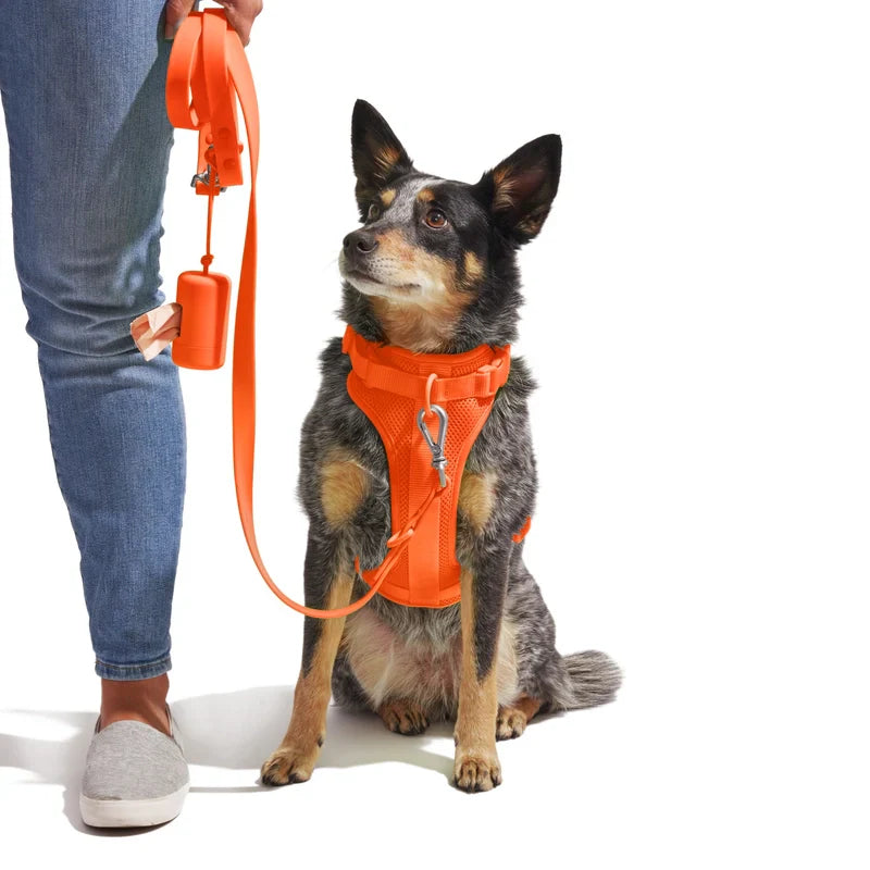 Wild One Adjustable Comfort Dog Harness