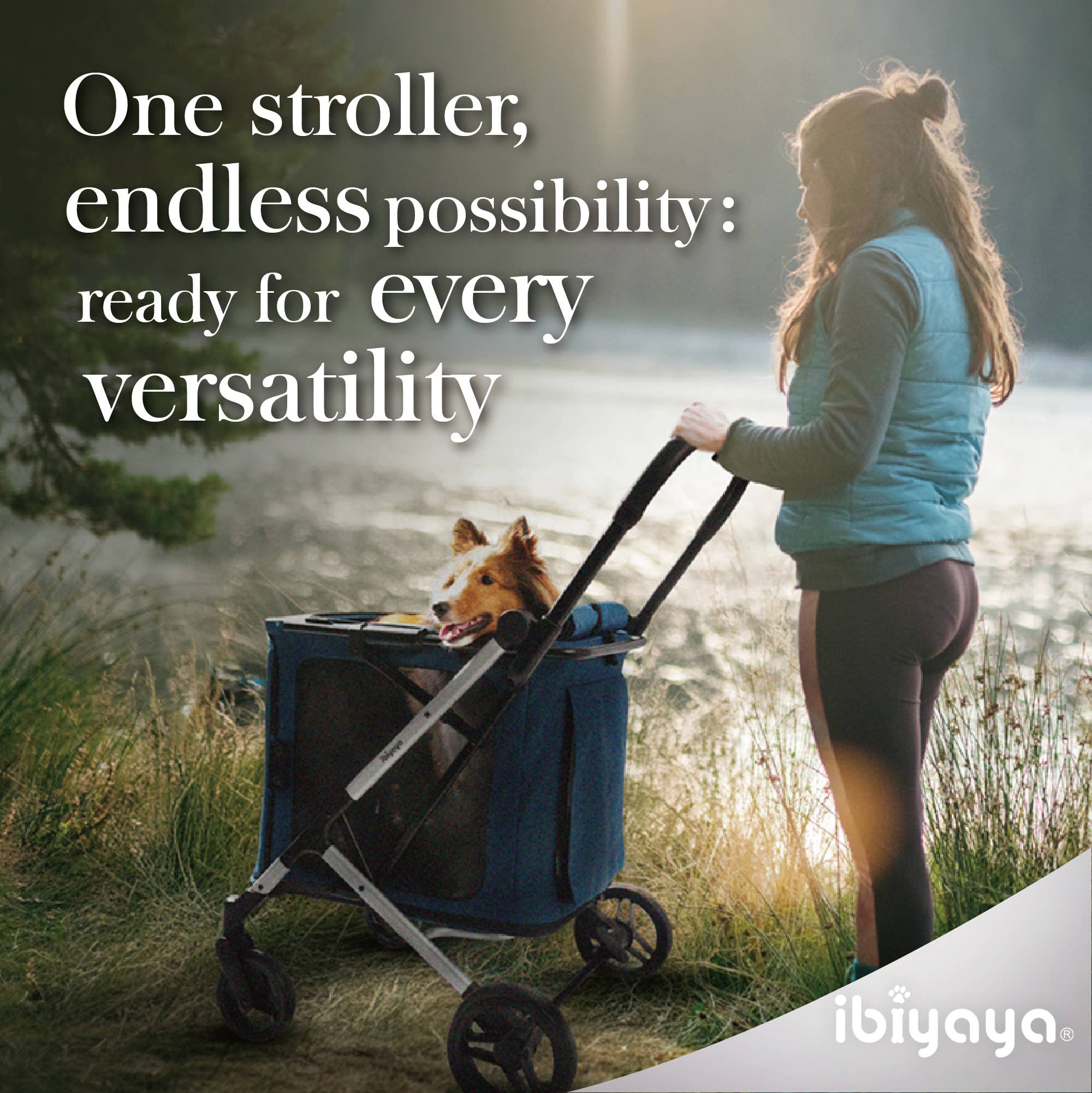 Ibiyaya BigBuddy Pet Stroller and Crate Combo, 2-in-1 Collapsible Medium-to-Large Pet Wagon for Cats and Dogs