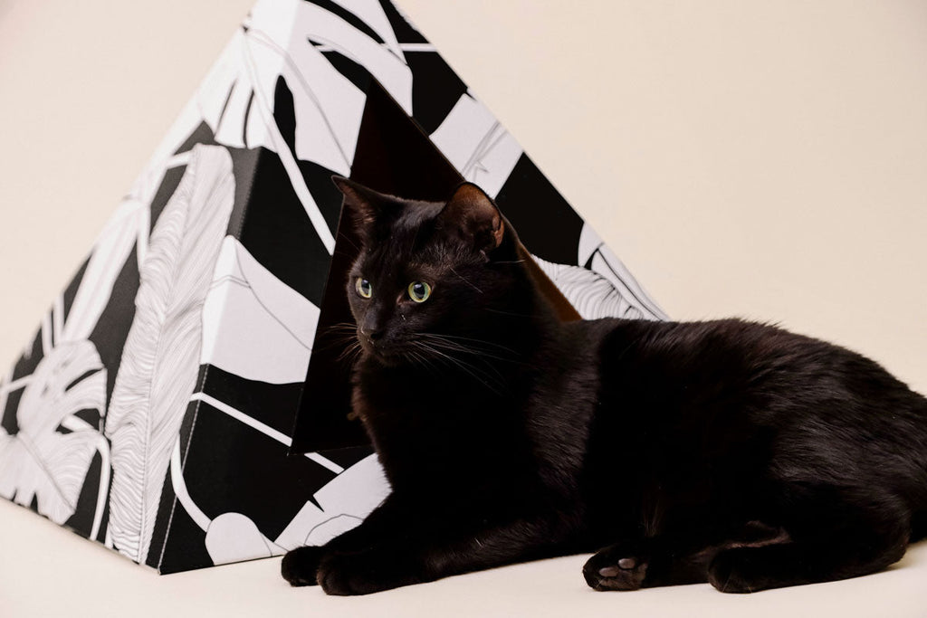 Kitty Kardboard® 'Dark Paradise' Cat Pyramid