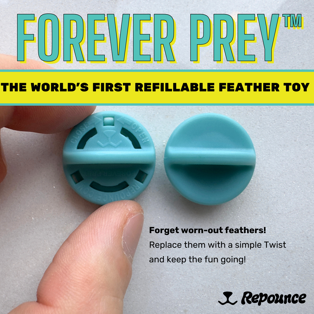 Repounce Forever Prey™ - World's First Refillable Feather Toy