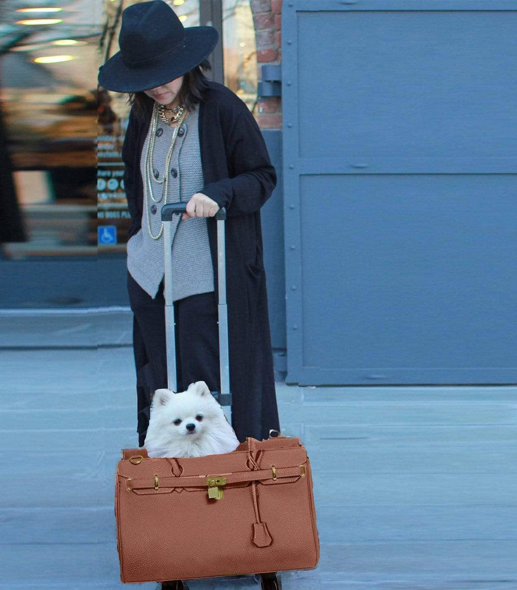 A Pet with Paws® Madison Carrier With Pet Trek Wheelbase