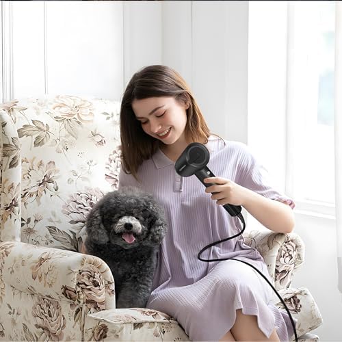 110,000 RPM Brushless Motor Hair Dryer for Fast Drying, 200 Million Negative Ions, Travel-Friendly Low Noise Design (Black, with Concentrator and Diffuser)