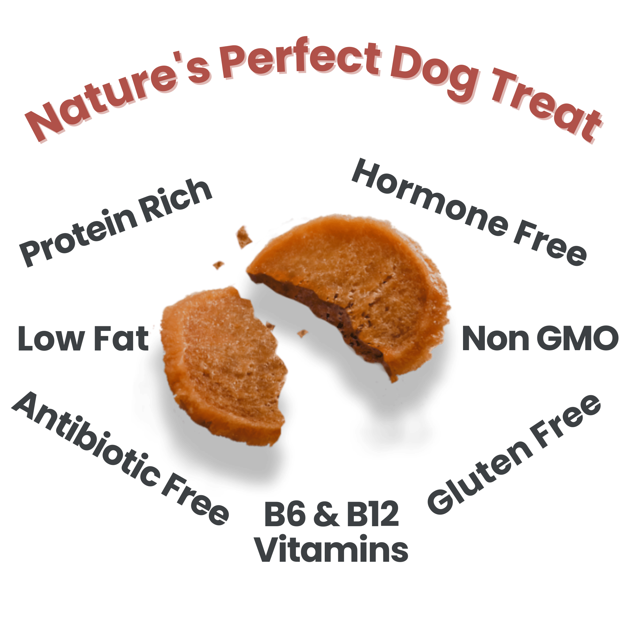 Chicken Chips for Dogs