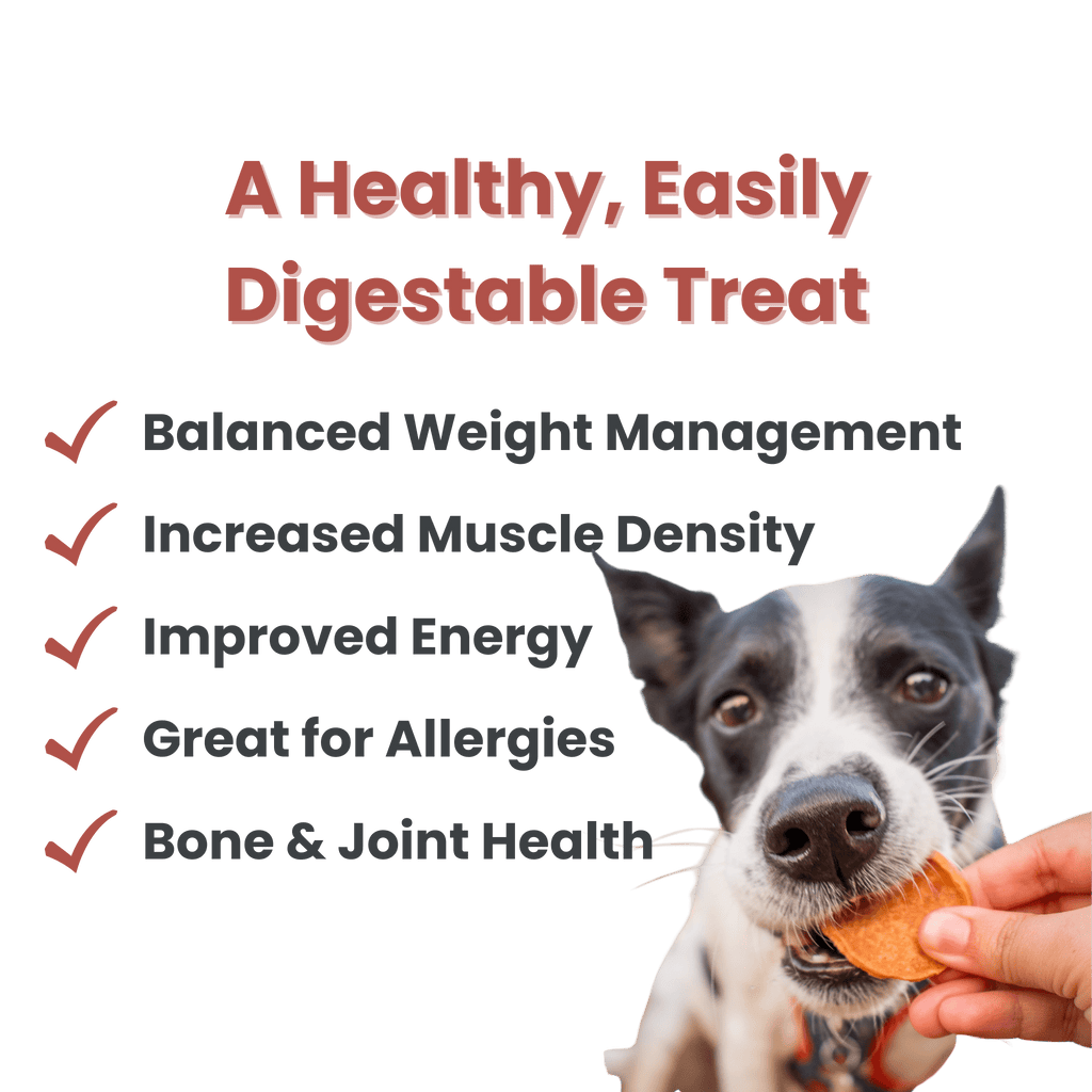 Chicken Chips for Dogs