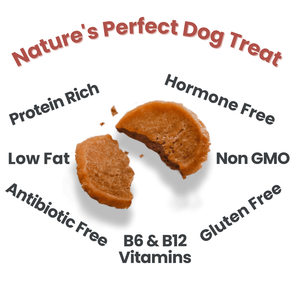 Chicken Chips for Dogs