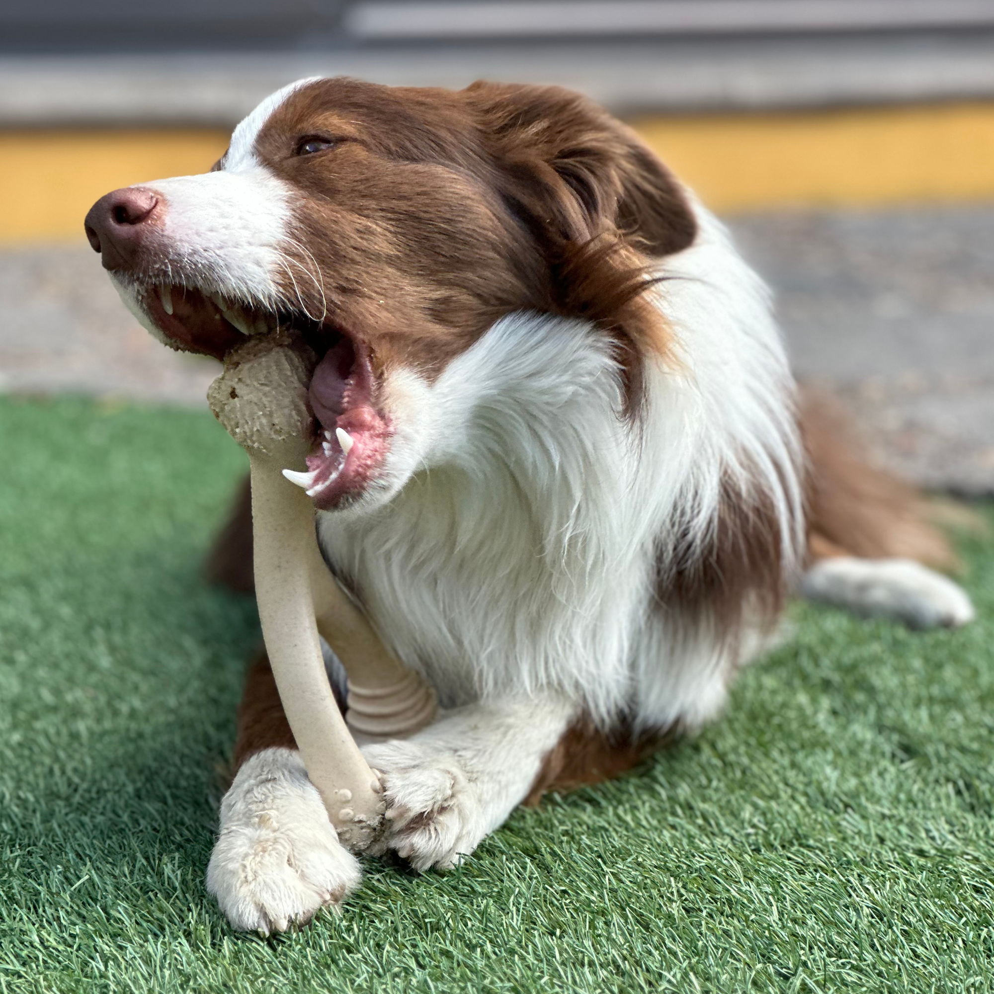 BetterBone SOFT Durability CHEW TOY: Natural Ingredients, Perfect for Teething Puppies, Senior Dogs & Gentle Chewers