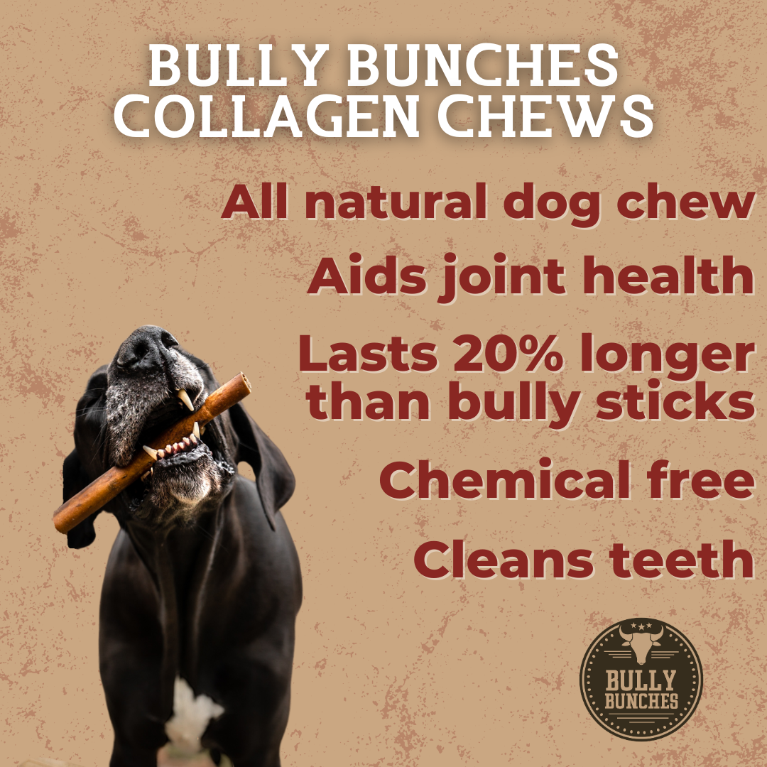 Bully Bunches 10-12 Inch Small Collagen Stick