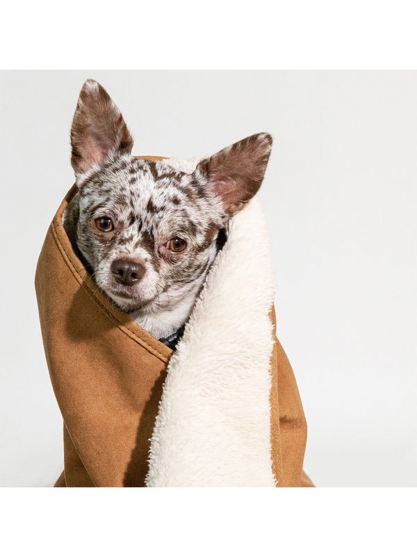 Sleepypod Cloudpuff Pet Blanket
