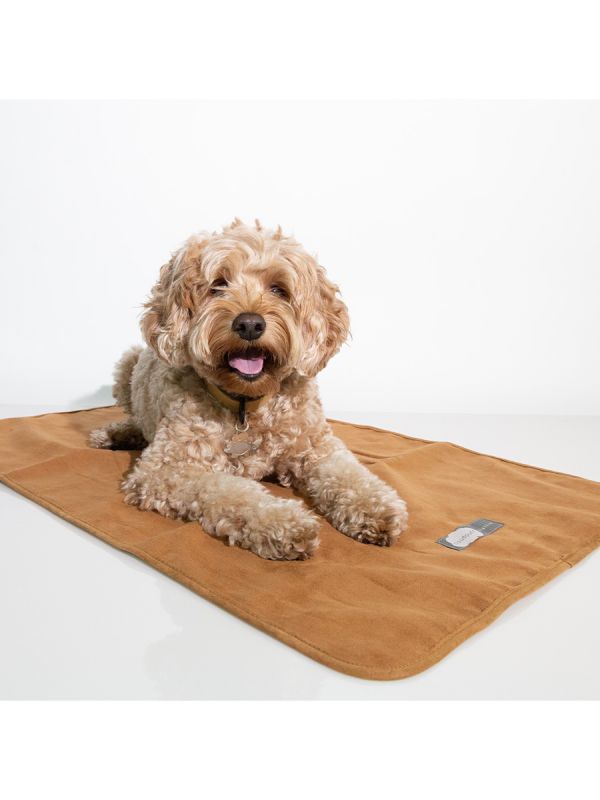 Sleepypod Cloudpuff Pet Blanket