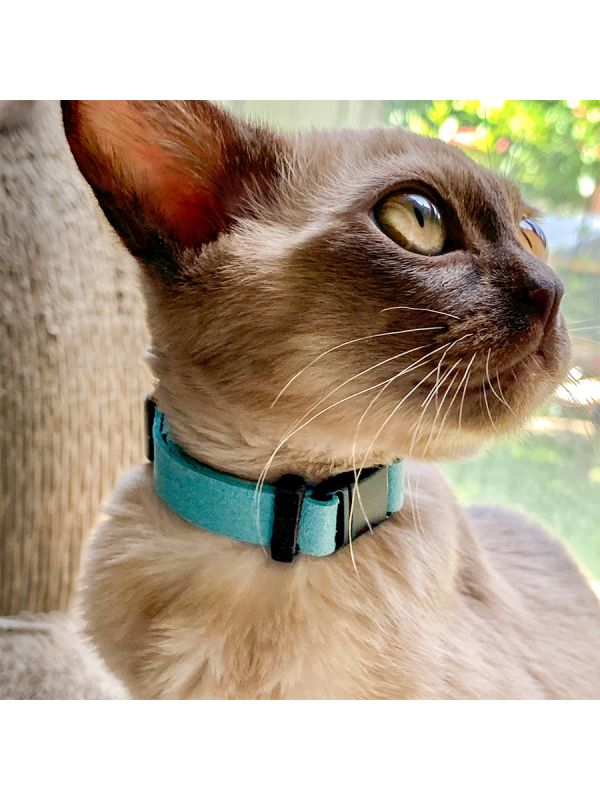 Sleepypod Comfort Suede Breakaway Collar for Cats