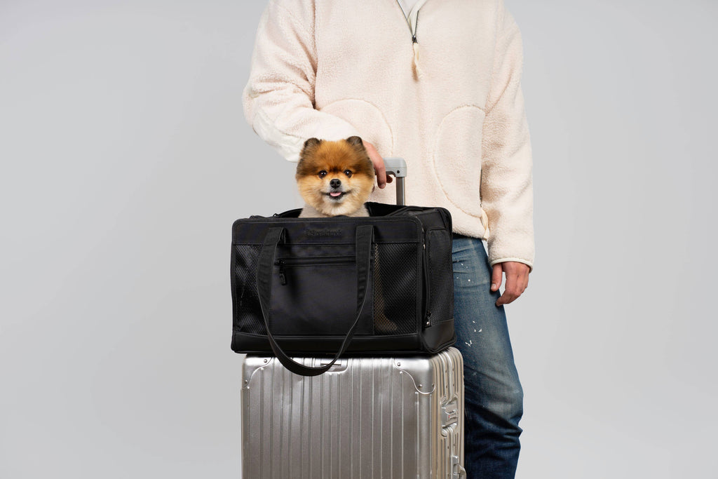 Oskar & Friends Pet Travel Carrier - Airline Compliant, Lightweight