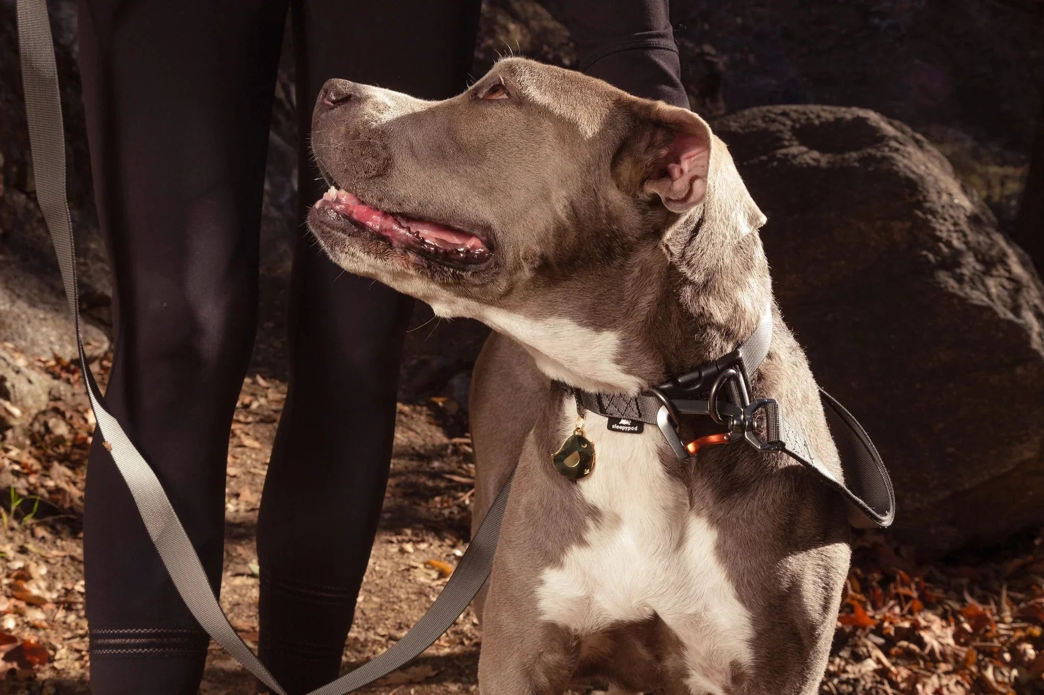 Sleepypod Power Collar
