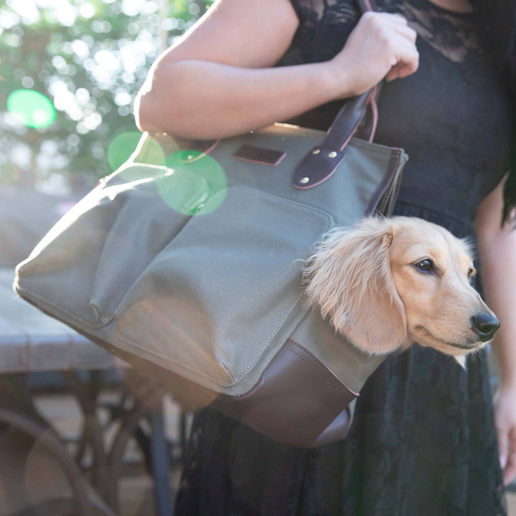 DjangoTote™ Waxed Canvas Dog Carrier Bag and Pet Travel Tote