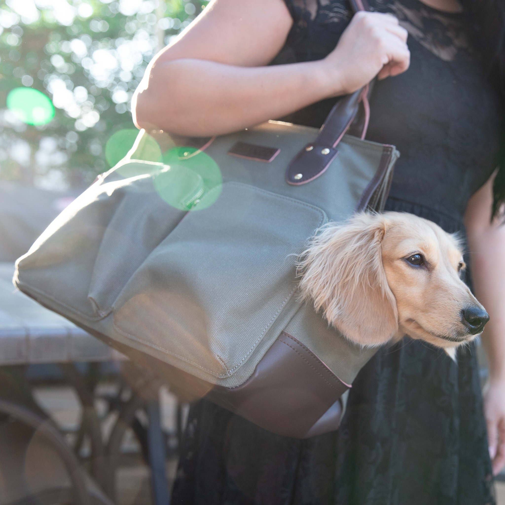 DjangoTote™ Waxed Canvas Dog Carrier Bag and Pet Travel Tote