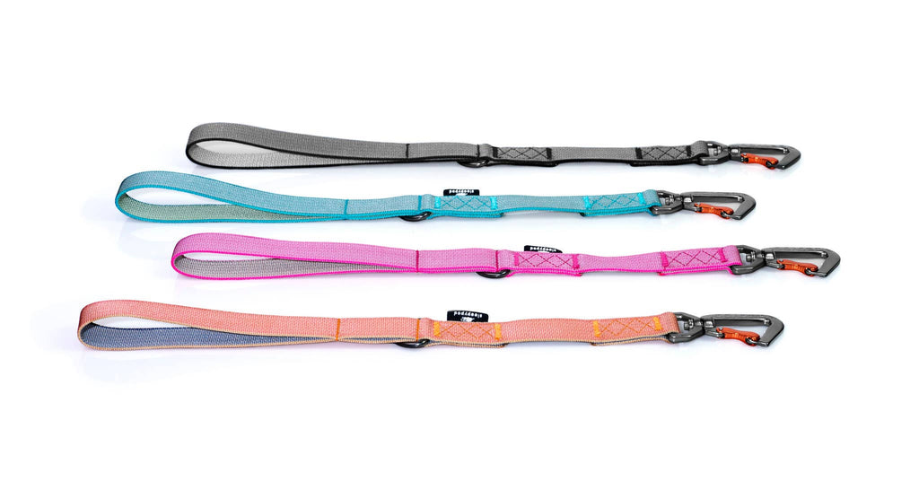 Sleepypod Traffic Leash