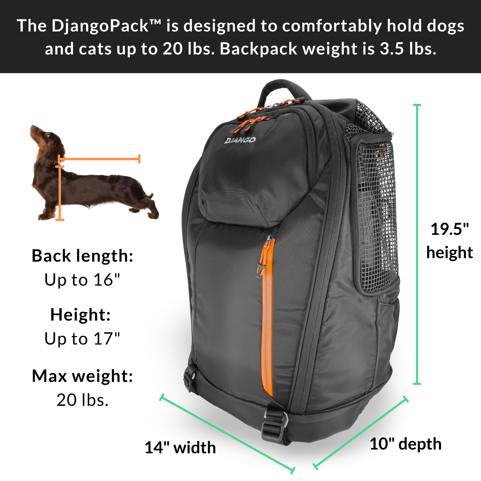 DJANGO - DjangoPack™ Dog Carrier Backpack