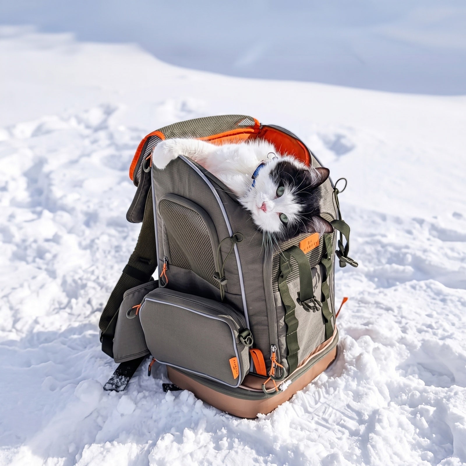 PETSFIT WILDPATH Pet Carrier Backpack for Hiking with Multi-Compartment Storage
