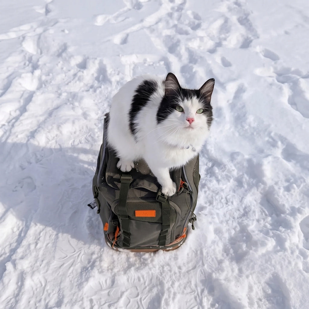 PETSFIT WILDPATH Pet Carrier Backpack for Hiking with Multi-Compartment Storage