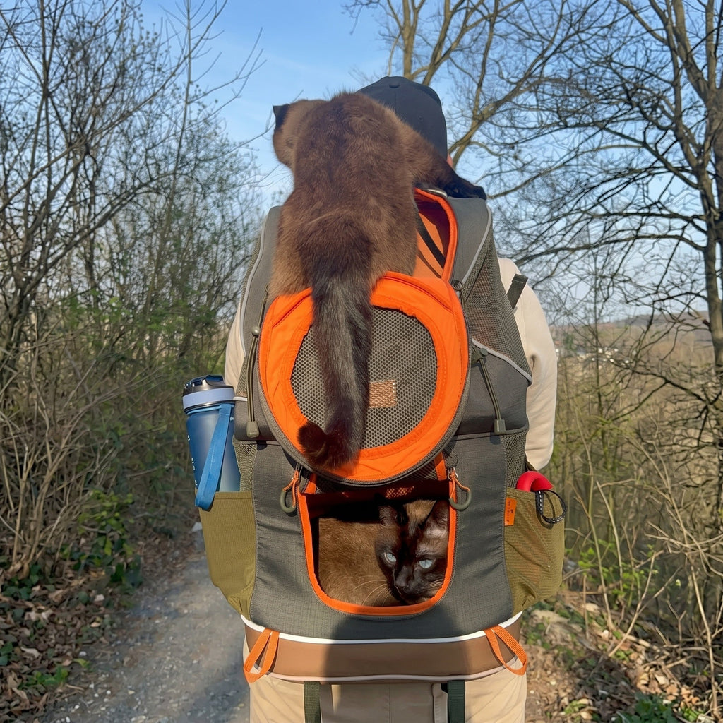 PETSFIT WILDPATH Dual‑Pet Hiking Carrier Backpack with Zippered Divider