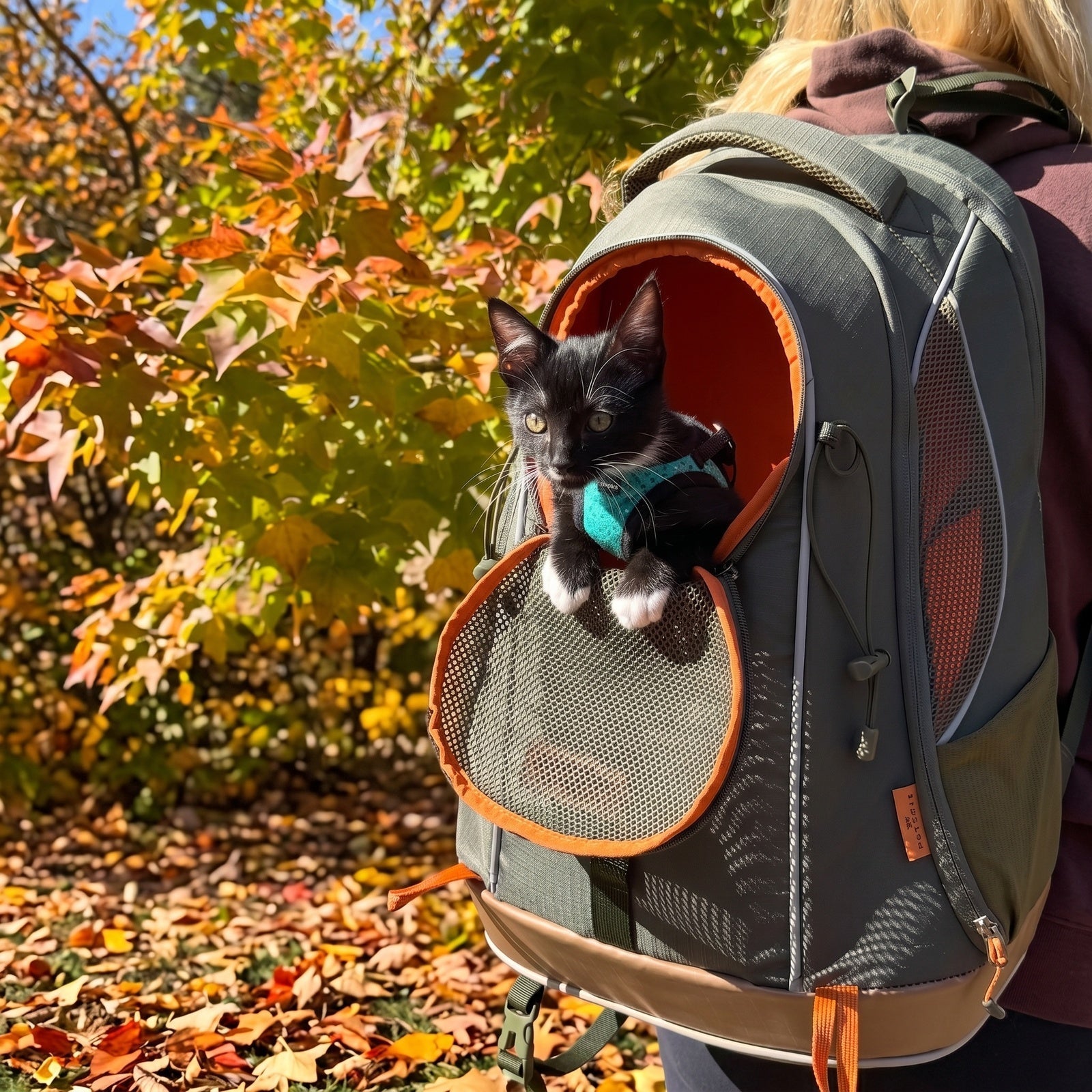 PETSFIT WILDPATH Pet Carrier Backpack for Hiking with Waterproof TPU Base