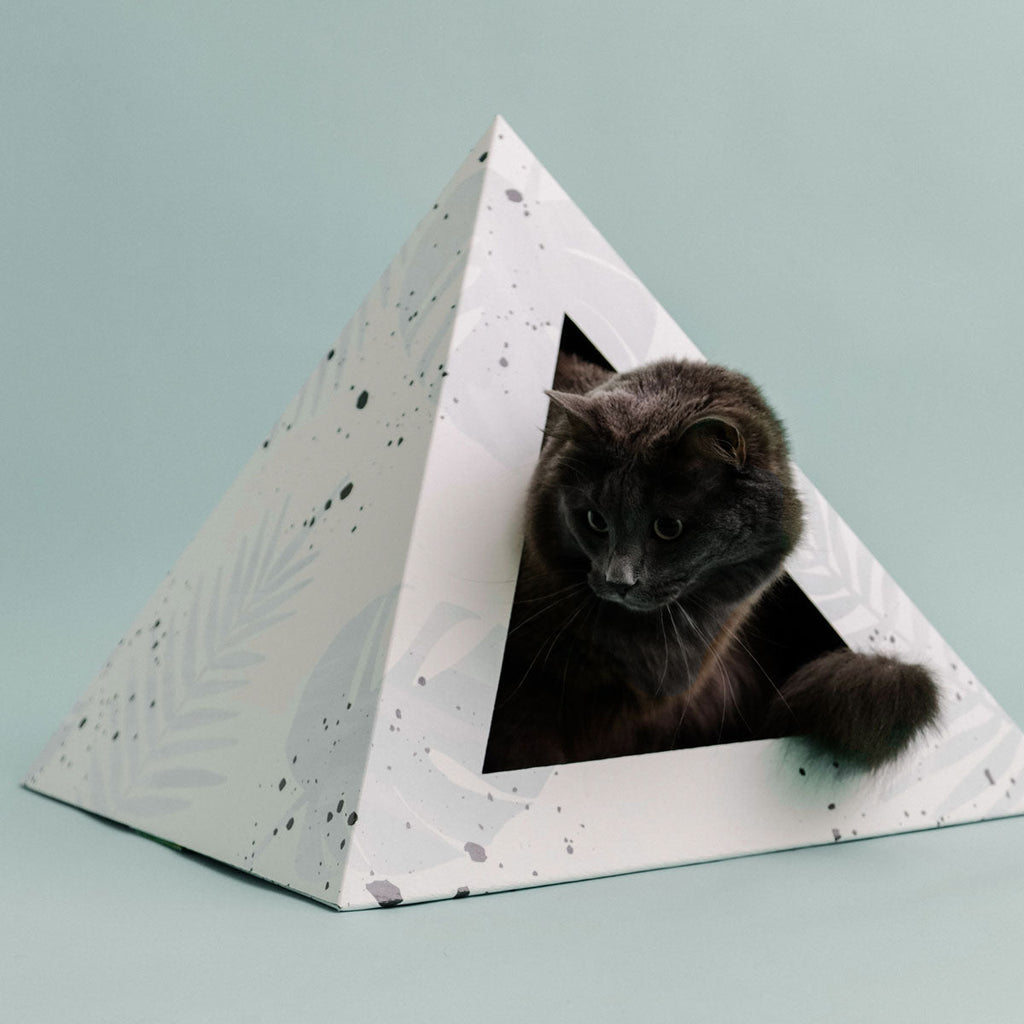 Kitty Kardboard® 'Oasis' Cat Pyramid