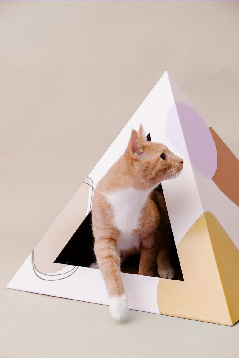 Kitty Kardboard® 'Abstract' Cat Pyramid