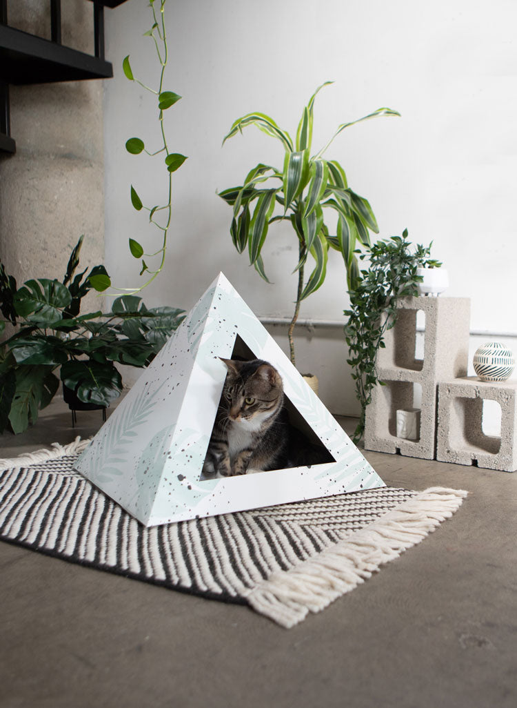 Kitty Kardboard® 'Oasis' Cat Pyramid