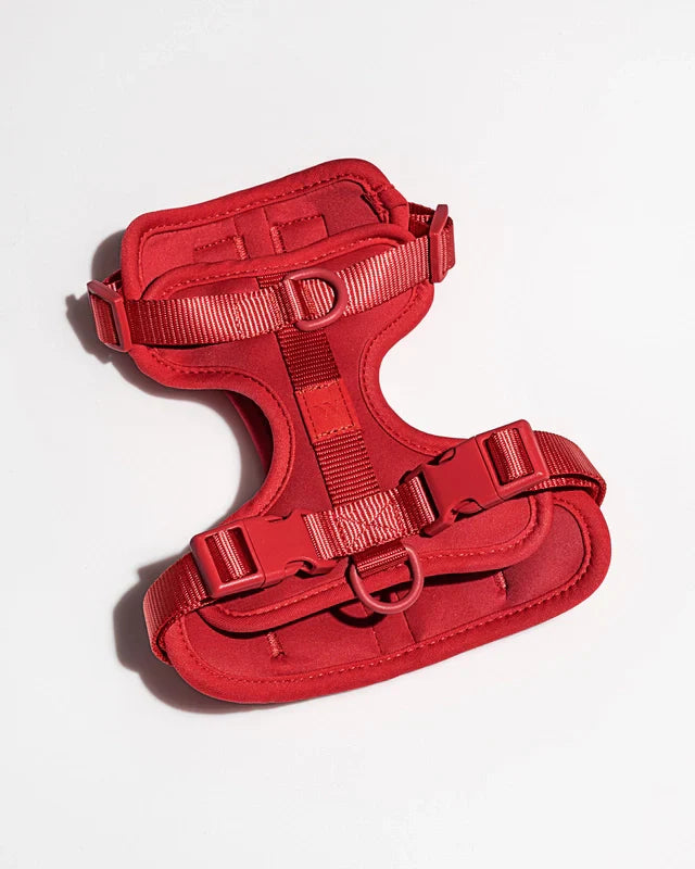 Wild One Adjustable Comfort Dog Harness