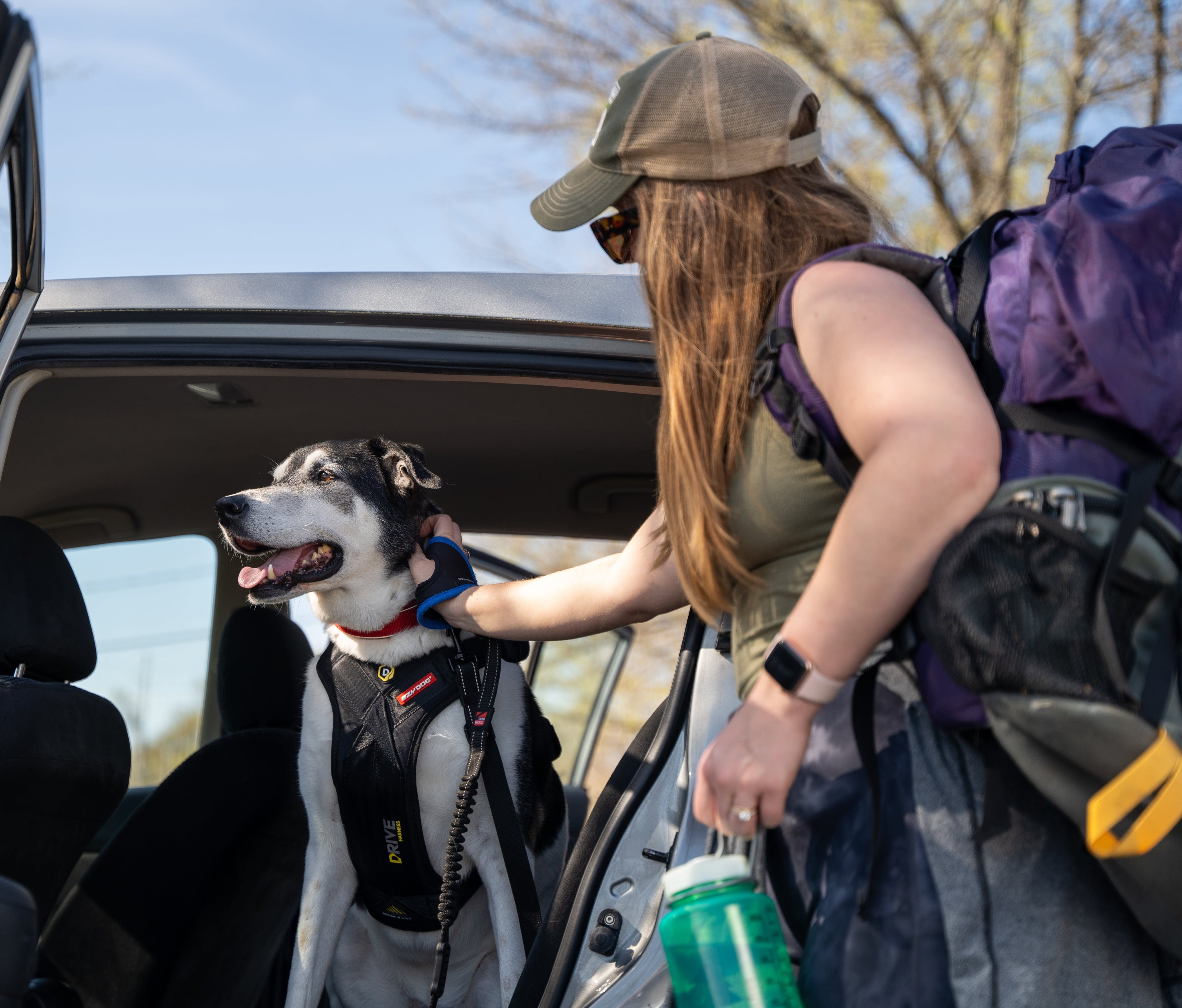 Let’s Go for a Ride Dog Travel Bundle