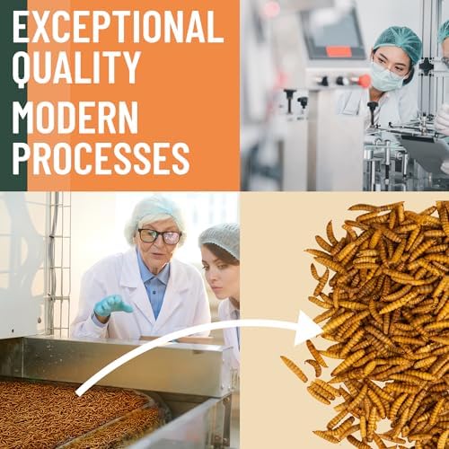 10LB Dried Black Soldier Fly Larvae for Chicken– 85X More Calcium Grubs Than Mealworms for Strong Eggshells & Healthy Growth - High Proteinfor Chickens, Birds, Ducks, Geese & Pets