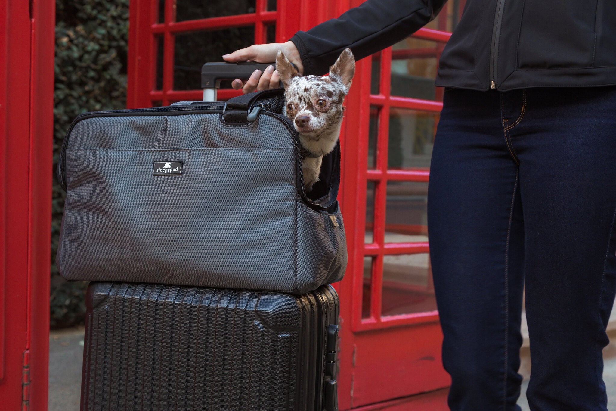Sleepypod Atom Small Pet Carrier - Airline Compliant, Crash Tested Model