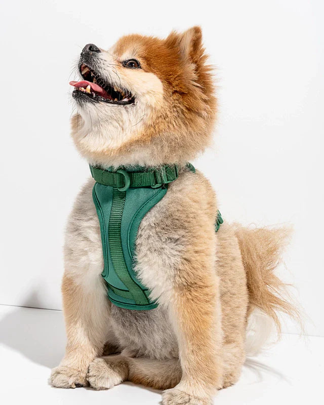 Wild One Adjustable Comfort Dog Harness