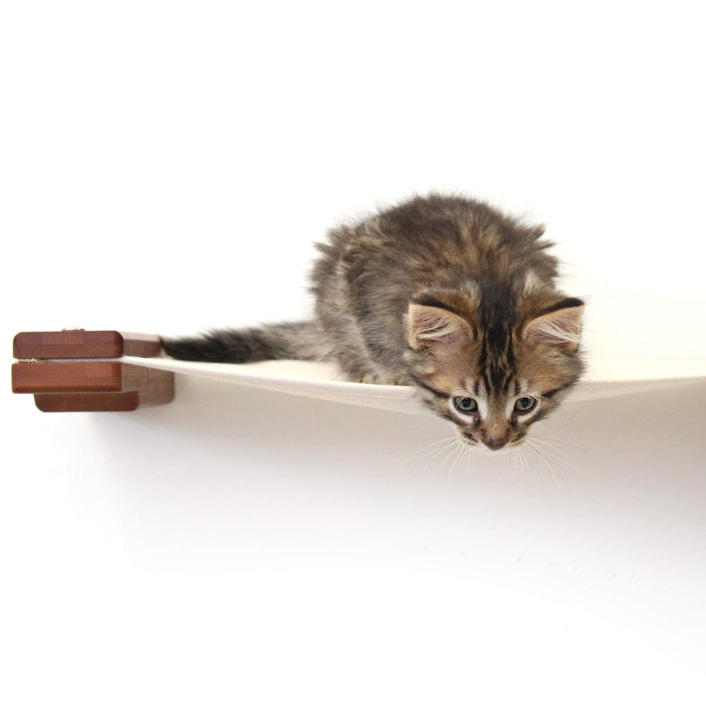 Catastrophic Creations Hanging Cat Bed Hammock