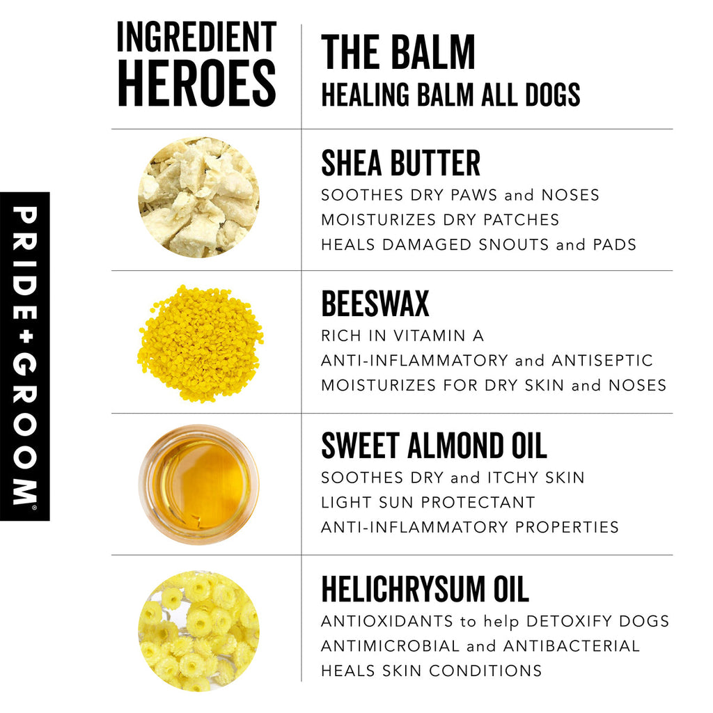 THE BALM Healing Pet Balm — Natural Paw & Nose Moisturizing Balm for Dogs & Cats