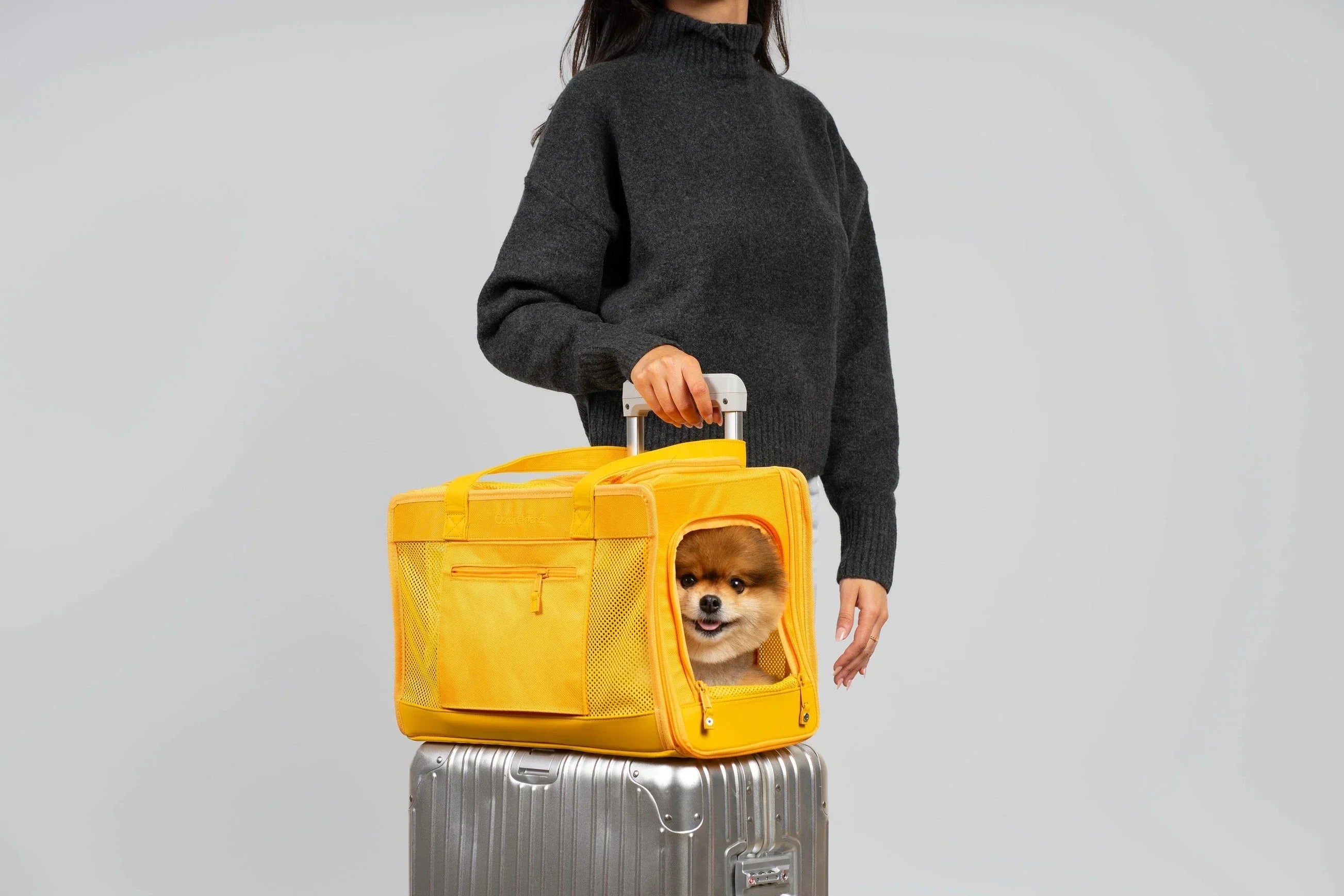 Oskar & Friends Pet Travel Carrier - Airline Compliant, Lightweight