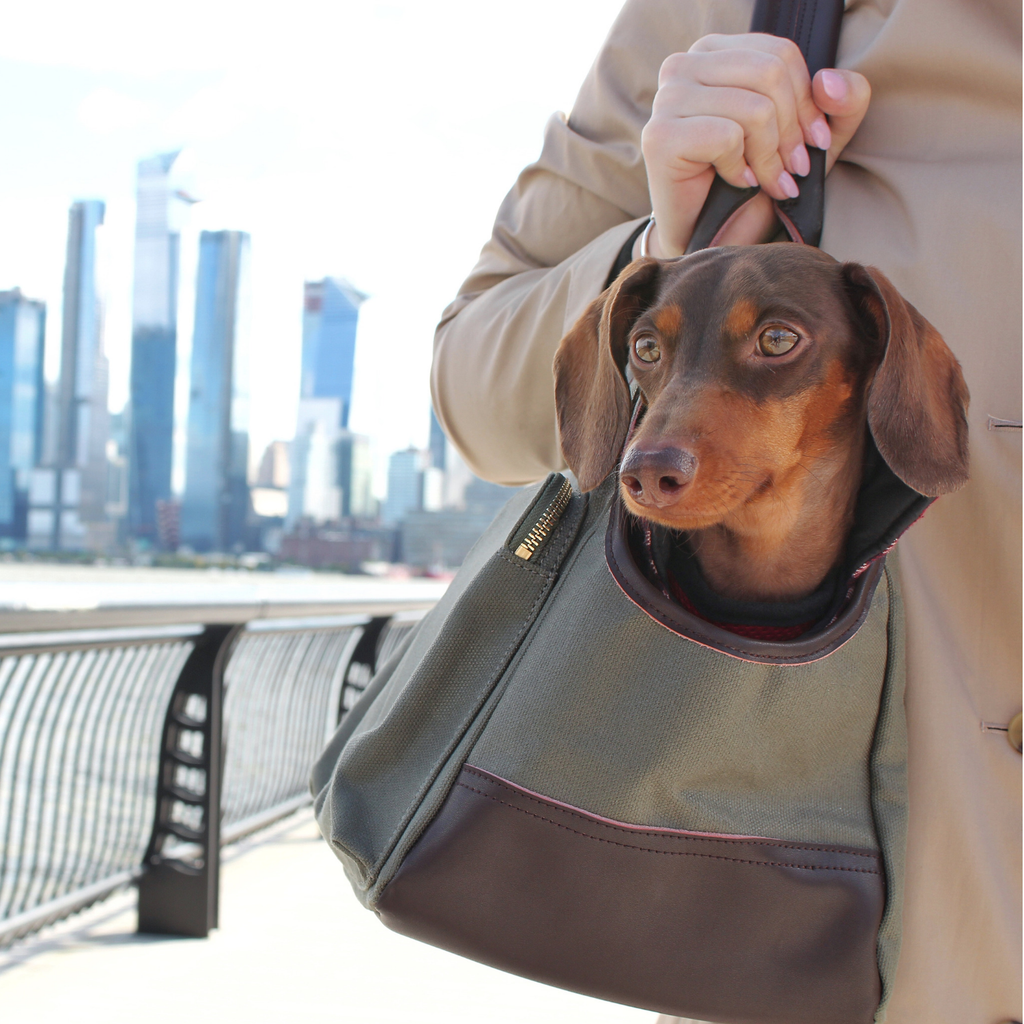 DjangoTote™ Waxed Canvas Dog Carrier Bag and Pet Travel Tote
