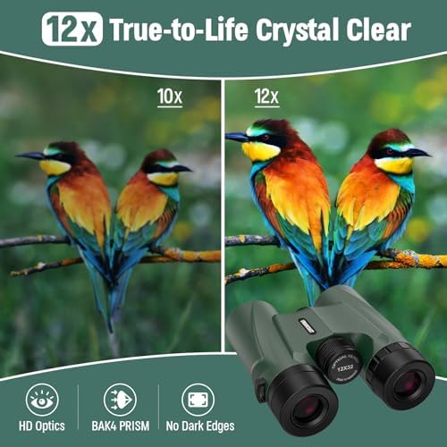 12X32 Compact HD Binoculars for Adults Hight Powered with Phone Adapter - Large View Binoculars Clear Low Light Vision- Lightweight & Waterproof Binoculars for Bird Watching Travel Cruise Ship Hunting